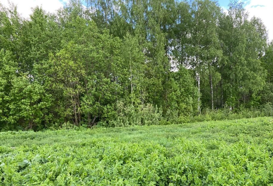 земля городской округ Дмитровский рп Деденево 34 км, дп. Ольшаны, Дмитровское шоссе фото 1