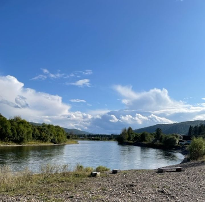 дом р-н Манский с Нарва Нарвинский сельсовет фото 6