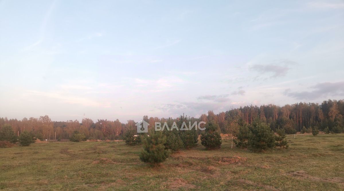 земля р-н Ковровский п Доброград ул Луговая 3 муниципальное образование фото 3