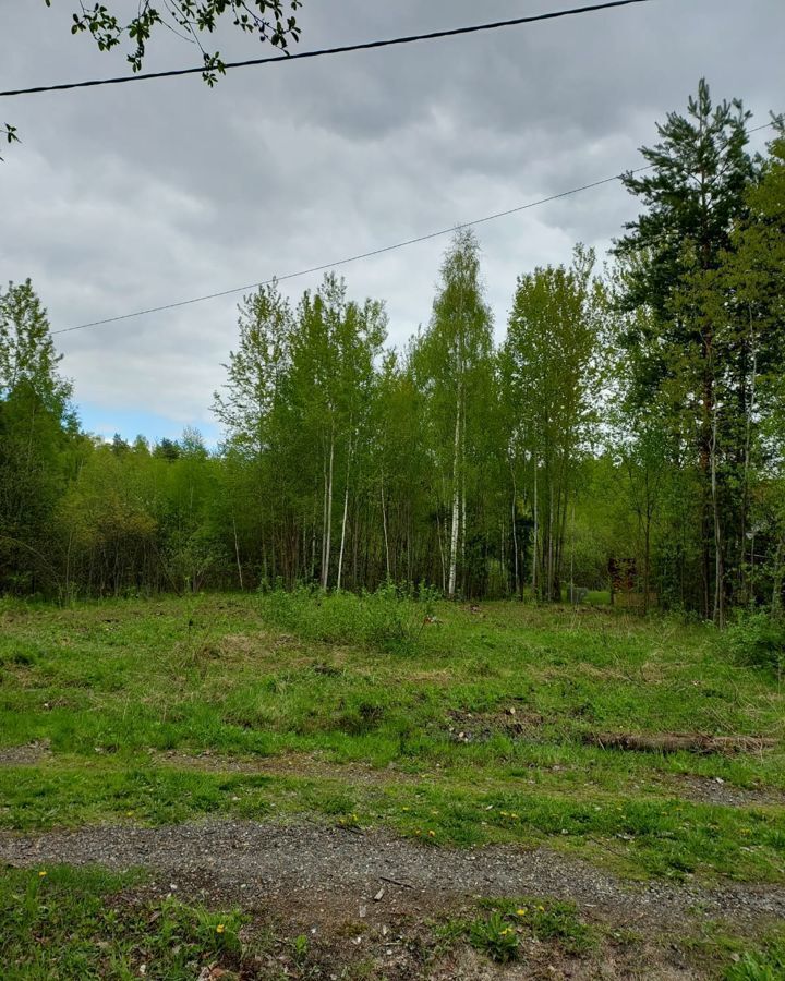 земля городской округ Егорьевск д Кукшево снт Лесная Поляна-6 79 км, 123, Егорьевск, Егорьевское шоссе фото 3