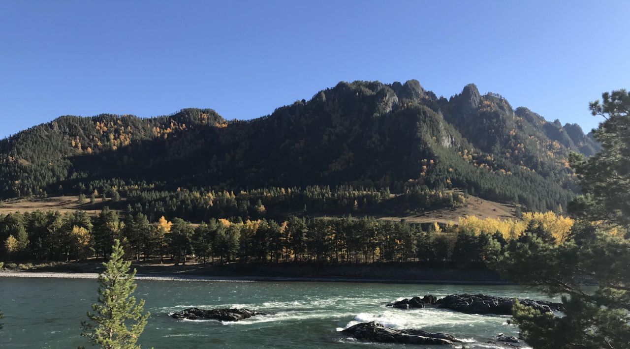 земля р-н Турочакский с Шунарак фото 13