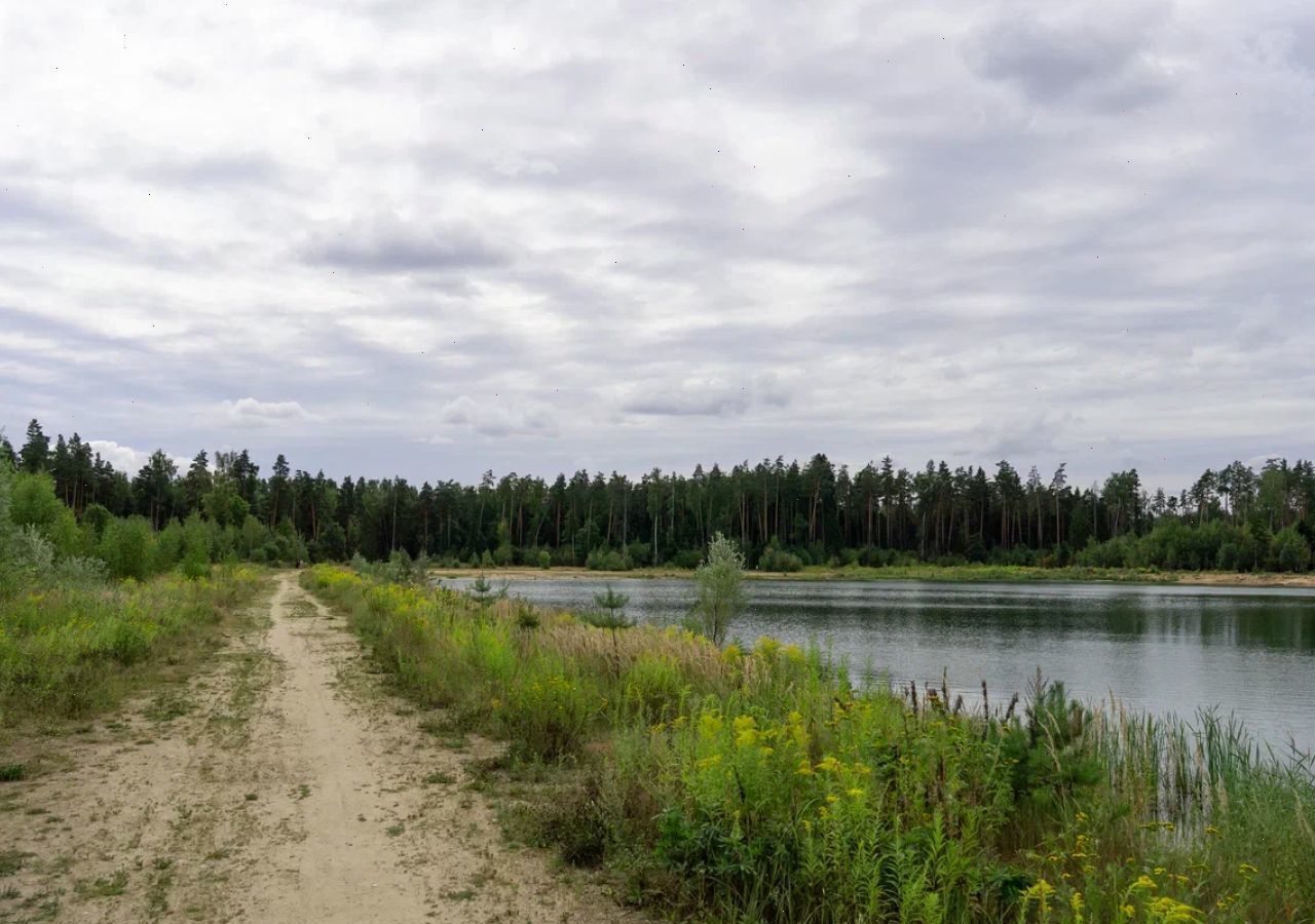 земля г Лосино-Петровский д Осеево 9747 км, Щёлковское шоссе фото 19