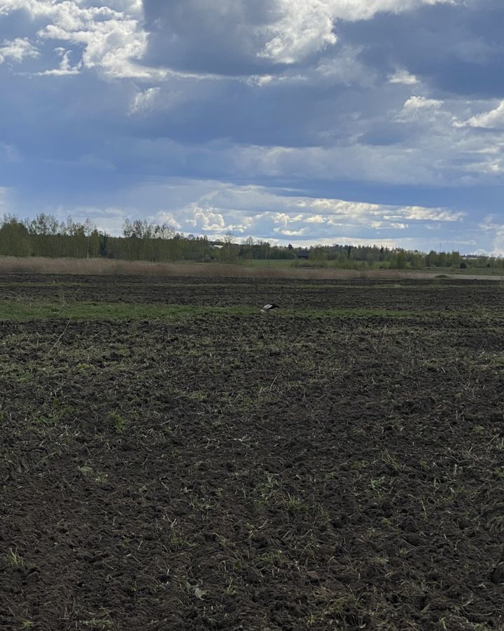 земля городской округ Волоколамский д Высоково ул Полевая 90 км, Волоколамск, Новорижское шоссе фото 8