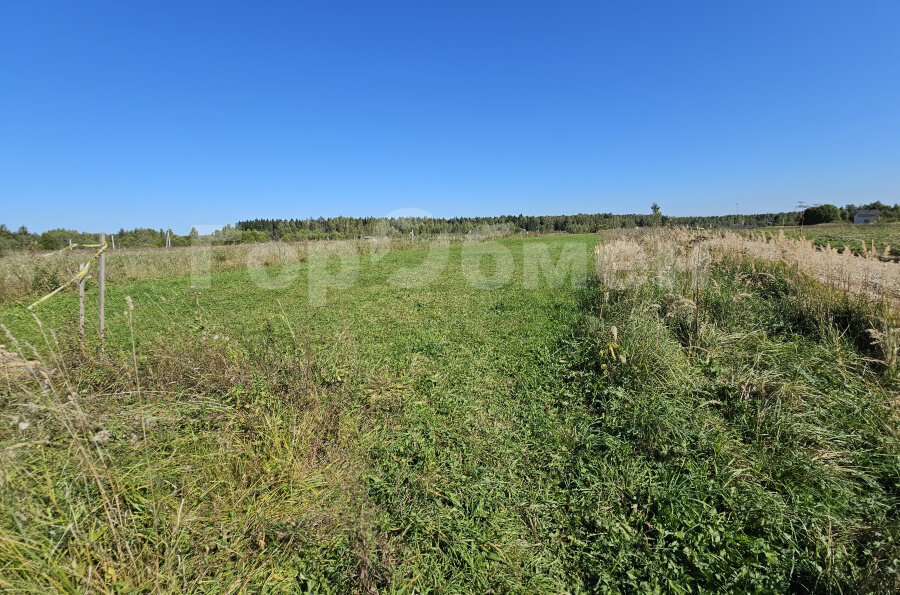 земля городской округ Шаховская фото 4