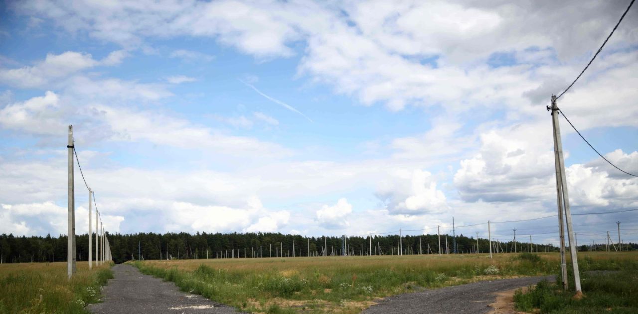 земля городской округ Богородский Новое Воскресенское кп фото 6