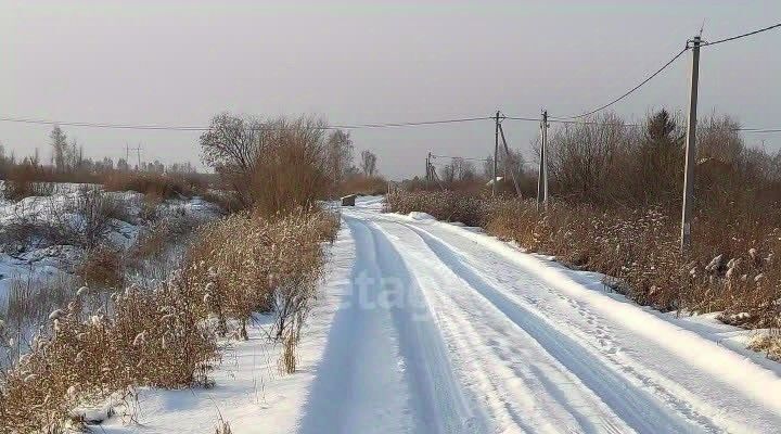 земля г Тюмень р-н Центральный снт Поле чудес фото 11