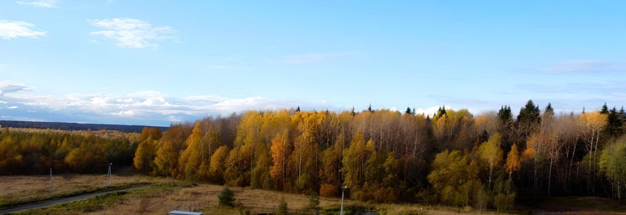 земля г Щёлково снт Электрон Истра городской округ фото 4