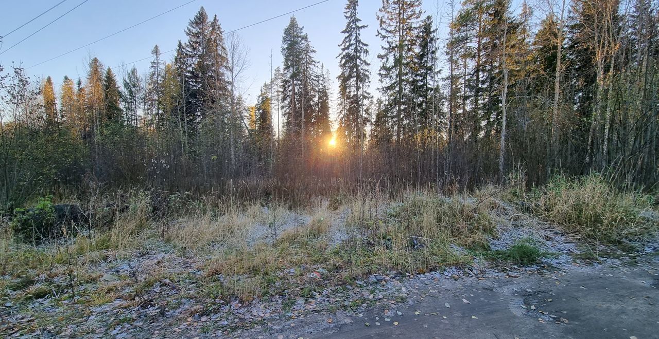 земля г Петрозаводск р-н Рыбка ул Боровая фото 12