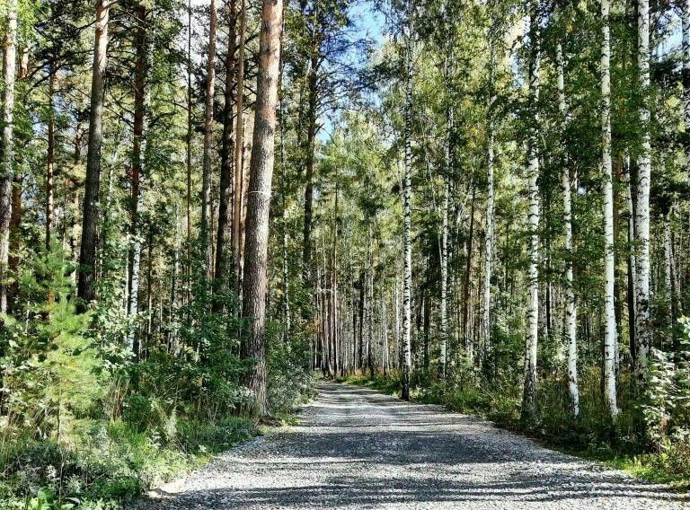 дом г Екатеринбург р-н Верх-Исетский снт Лесной 104 фото 2