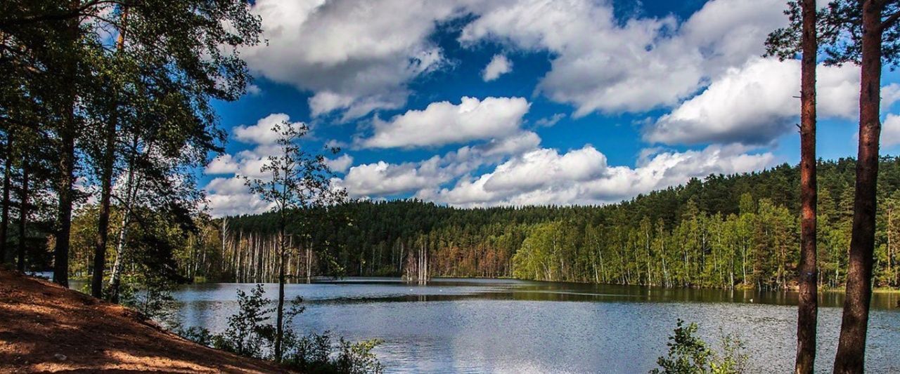 земля р-н Западнодвинский г Западная Двина д Вережуни фото 17