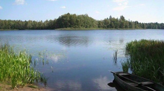 земля р-н Западнодвинский г Западная Двина д Вережуни фото 16