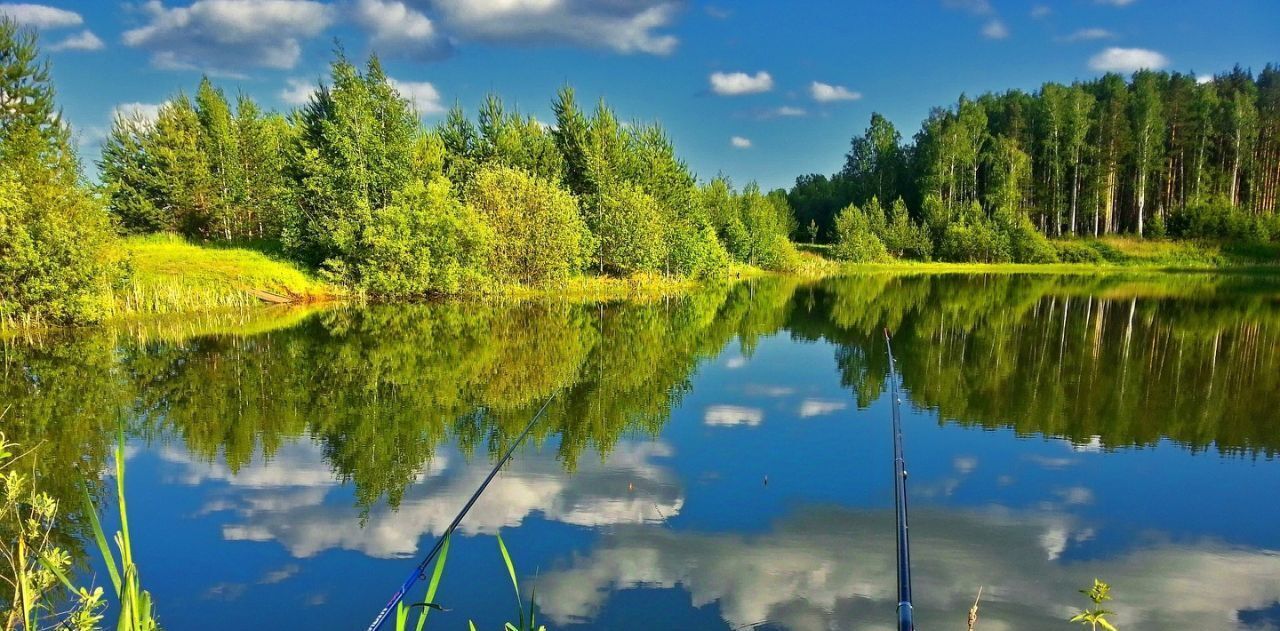 земля р-н Западнодвинский г Западная Двина д Вережуни фото 15