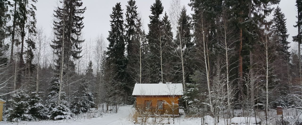 дом р-н Приозерский Ларионовское с/пос, Вуокса СНТ, ул. Центральная, 209 фото 17