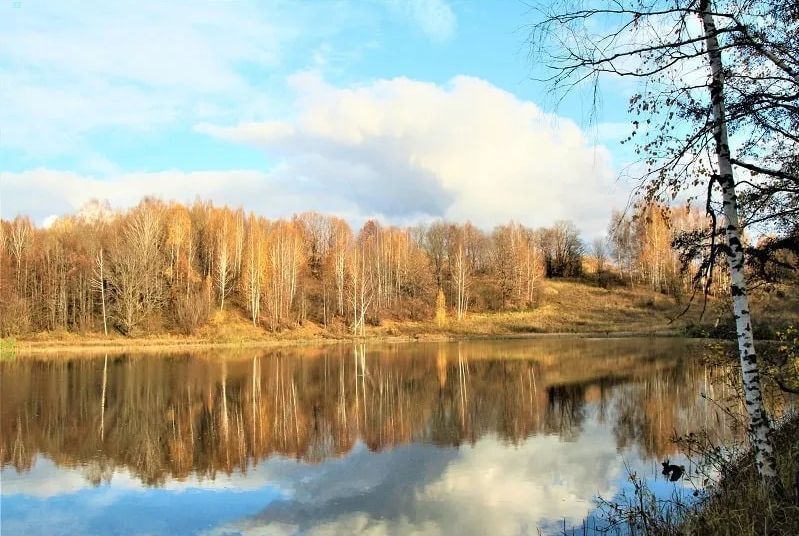 земля р-н Зеленодольский Большекургузинское сельское поселение, Казань фото 5