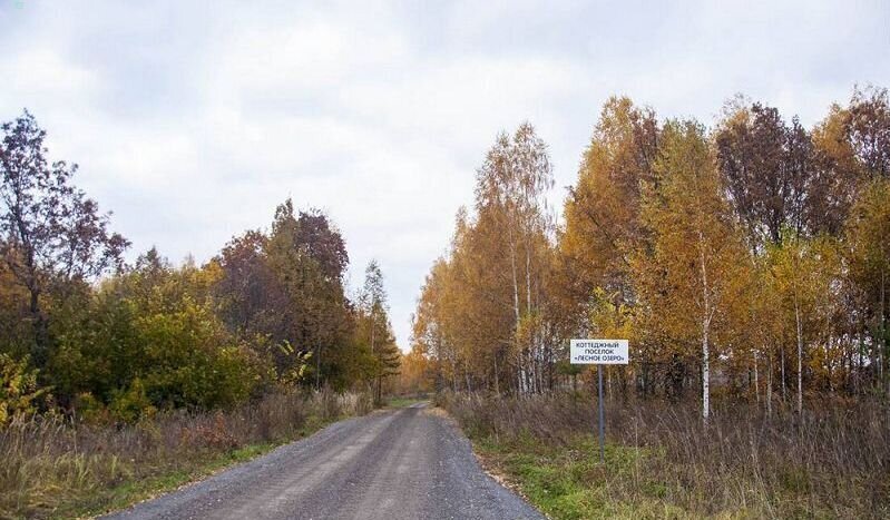 земля р-н Зеленодольский Большекургузинское сельское поселение, Казань фото 13