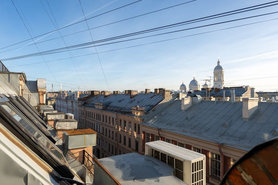 квартира г Санкт-Петербург Петроградский, Большой проспект Петроградской стороны, 7/4 фото 6