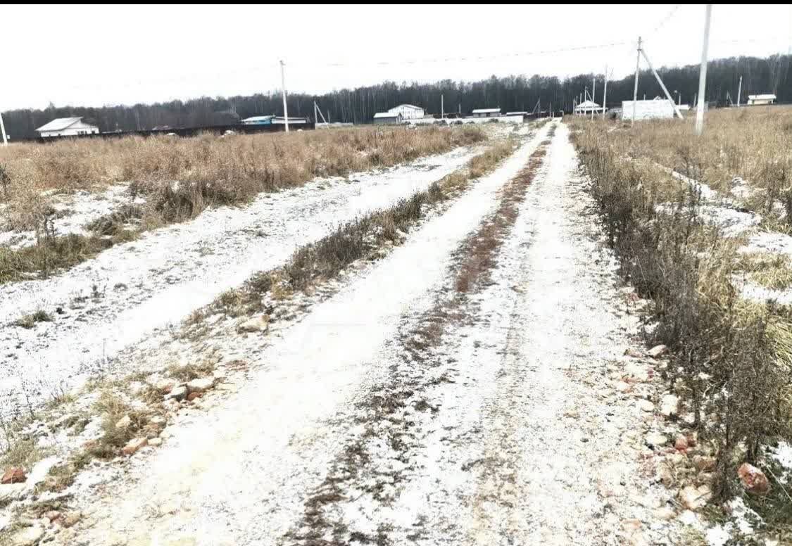 земля городской округ Чехов с Дубна снт Ромашкино 9779 км, 70, Чехов, Симферопольское шоссе фото 11