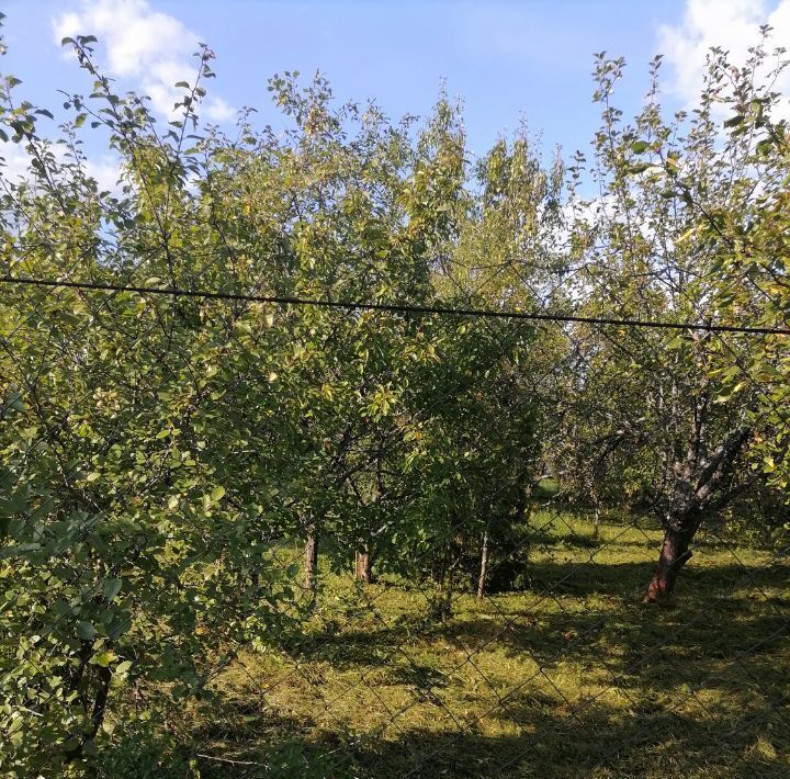 земля р-н Городецкий снт Ясная поляна Богородский муниципальный округ фото 6