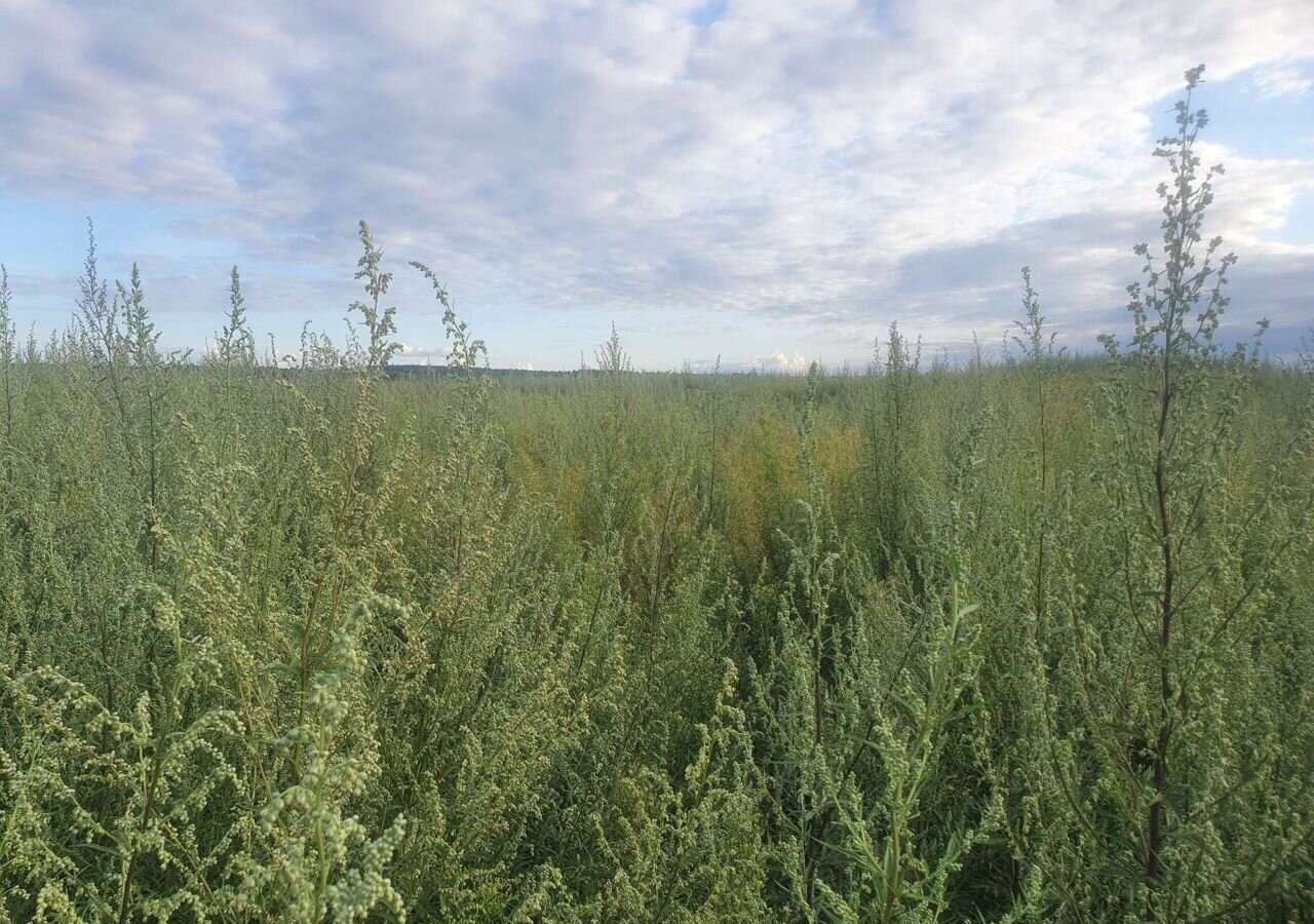 земля городской округ Клин г Высоковск 70 км, д. Захарово, г. о. Клин, Ленинградское шоссе фото 1