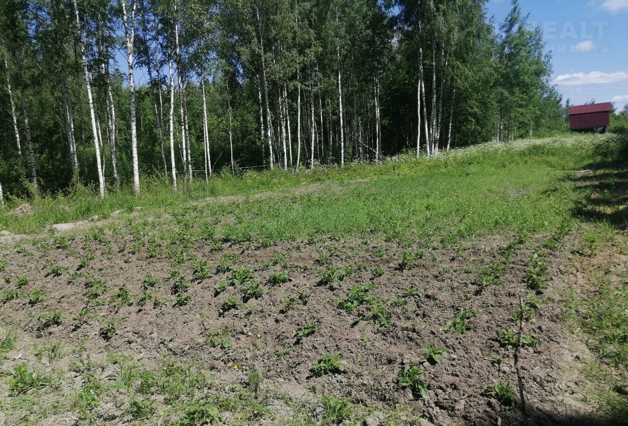 земля р-н Рыбинский д Селишки Назаровское сельское поселение, 70, Рыбинск фото 2