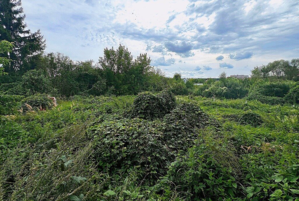 дом городской округ Егорьевск с Радовицы фото 20