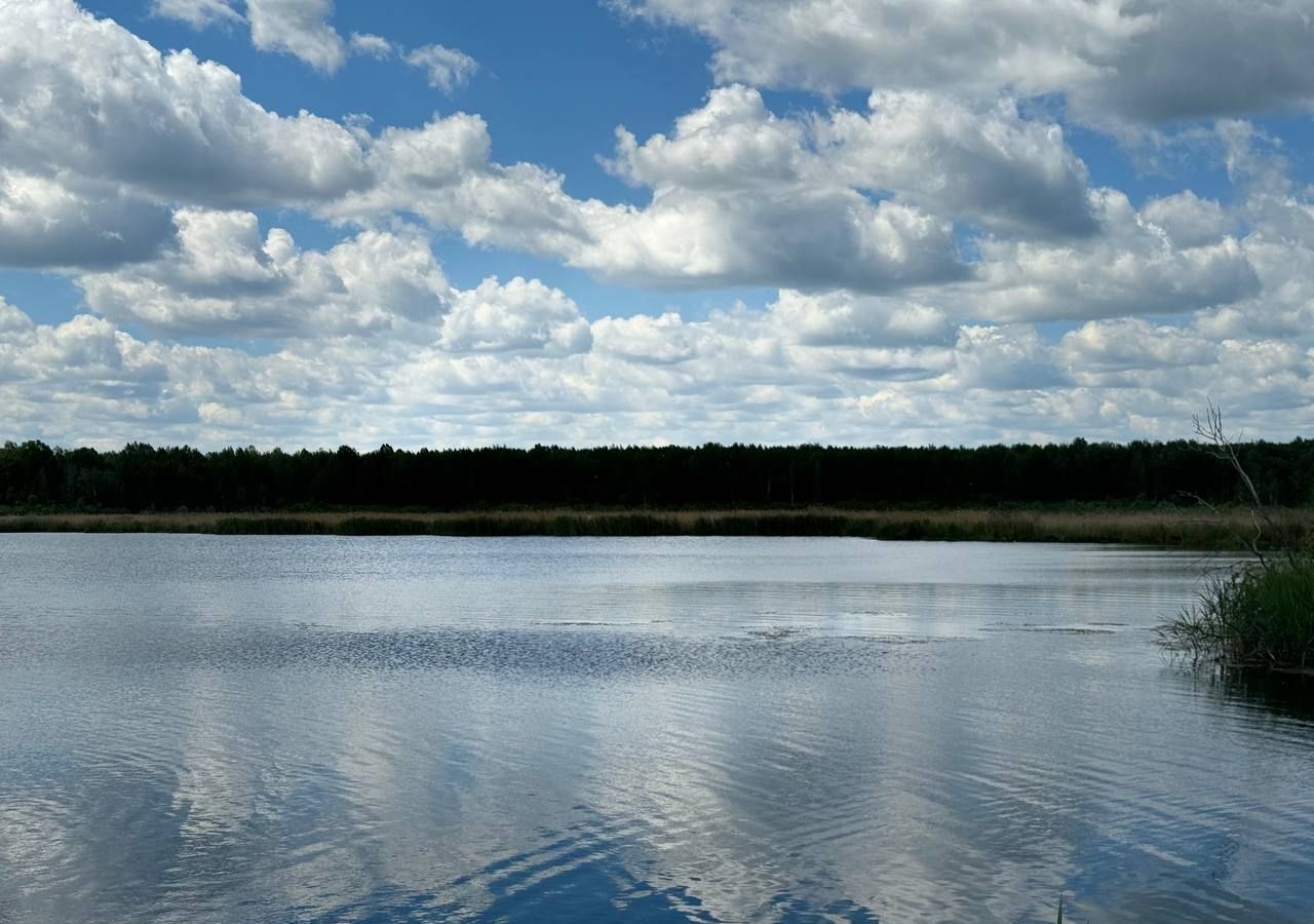 земля р-н Нижнетавдинский снт Лесная Сказка Тюмень фото 3