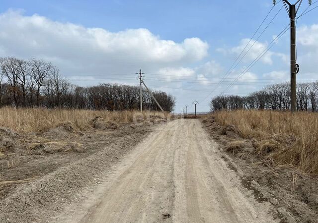 земля Вольно-Надеждинское фото