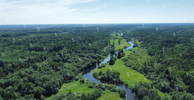 Московское шоссе, 9798 км, Вырицкое городское поселение, Дружная Горка фото