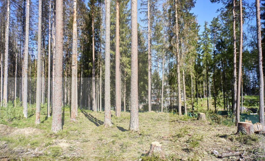 земля р-н Выборгский п Ленинское Выборгское шоссе, 9746 км, Первомайское сельское поселение, коттеджный пос. Видовое, 39, Санкт-Петербург фото 3