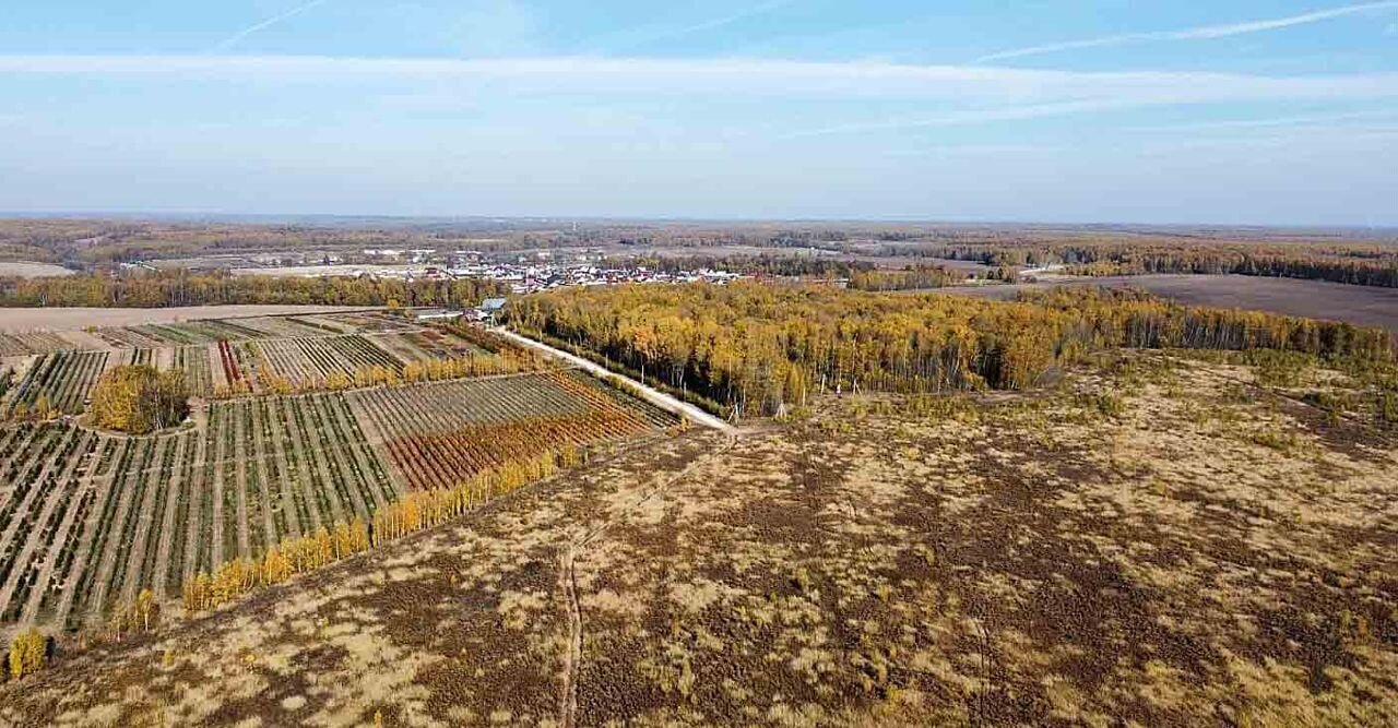 земля р-н Заокский с Ненашево Новогуровский фото 1