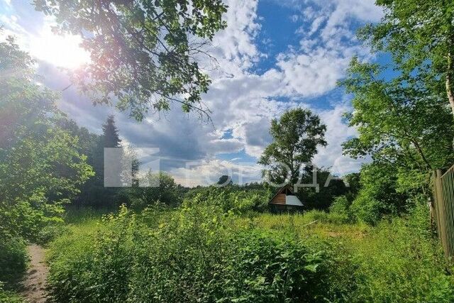 9727 км, территория Больницы, Москва, направление Белорусское (запад), Рублёво-Успенское шоссе фото