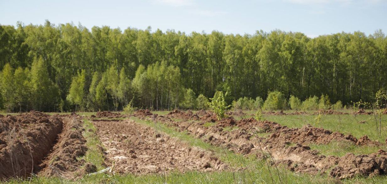 земля городской округ Серпухов п Пролетарский 9787 км, дп. Новые Велеми, г. о. Серпухов, Симферопольское шоссе фото 6