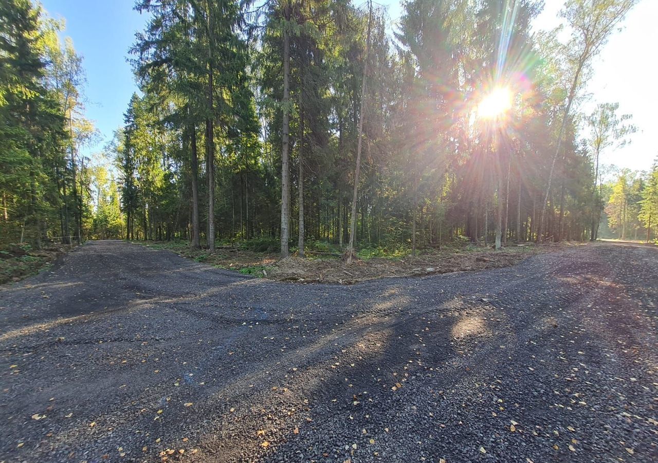 земля городской округ Солнечногорск рп Менделеево 9749 км, СНТ Покров, г. о. Солнечногорск, Рогачёвское шоссе фото 7