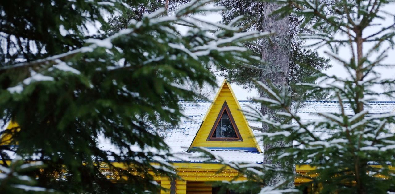 квартира р-н Выборгский Полянское с/пос, Полянская тер., дор. Красногвардейская, 201к 1 фото 1