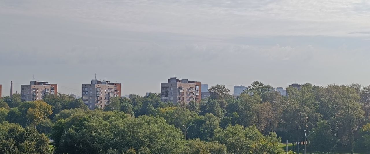 квартира г Санкт-Петербург метро Ленинский Проспект пр-кт Стачек 103к/1 округ Красненькая речка фото 37