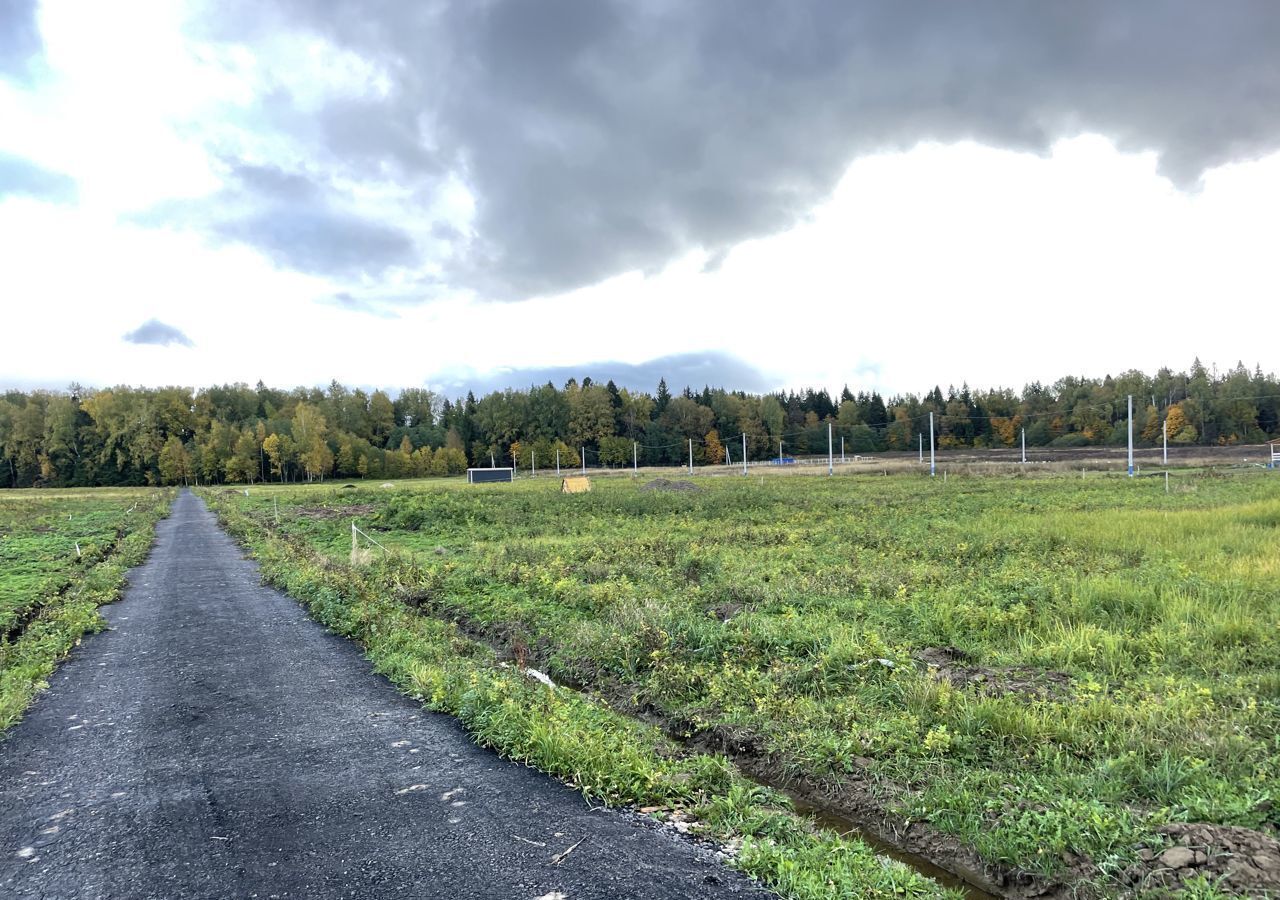 земля городской округ Клин 9782 км, коттеджный пос. Лесная Поляна, Клин, Рогачёвское шоссе фото 7