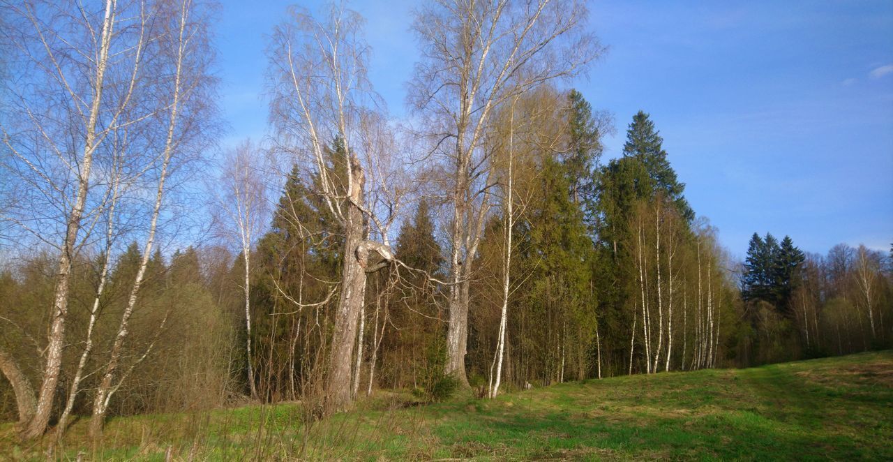 дом городской округ Рузский д Ваюхино 66 км, Руза, Новорижское шоссе фото 26