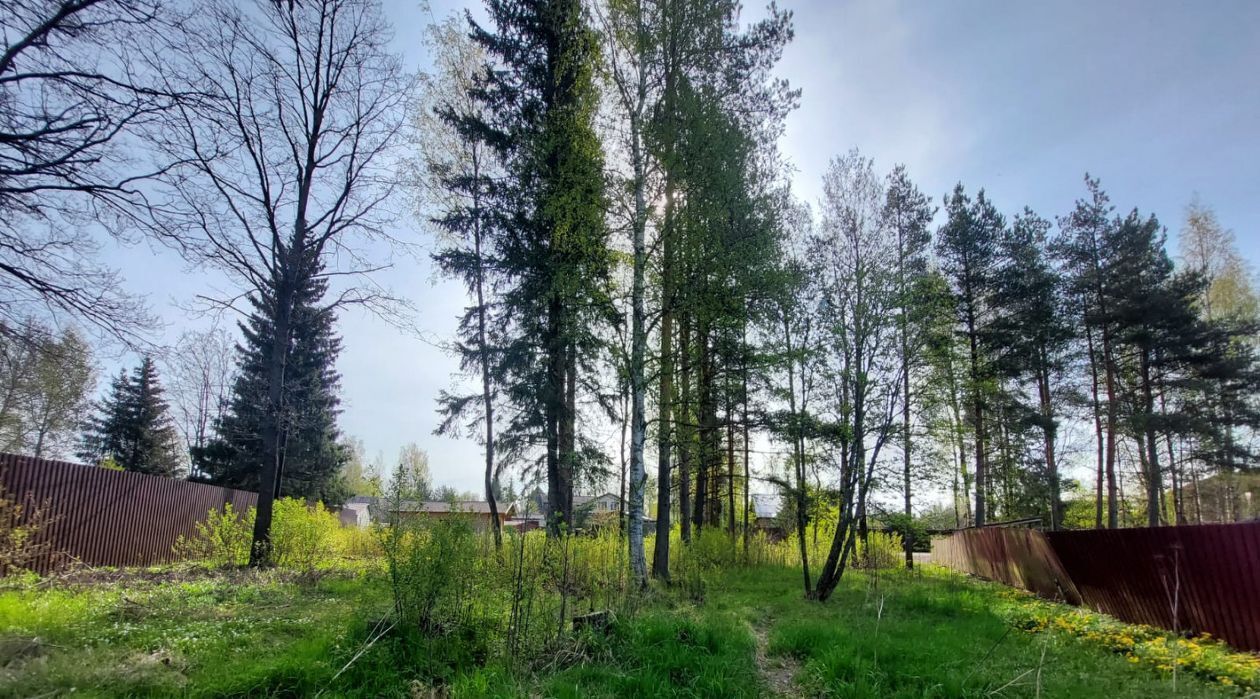 земля р-н Всеволожский г Всеволожск ул Зеленая 2-я Ладожская фото 1