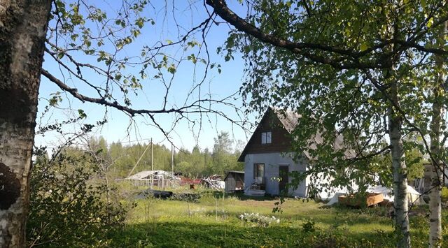 снт Петровское Каменногорское городское поселение, 19, Возрожденский массив фото