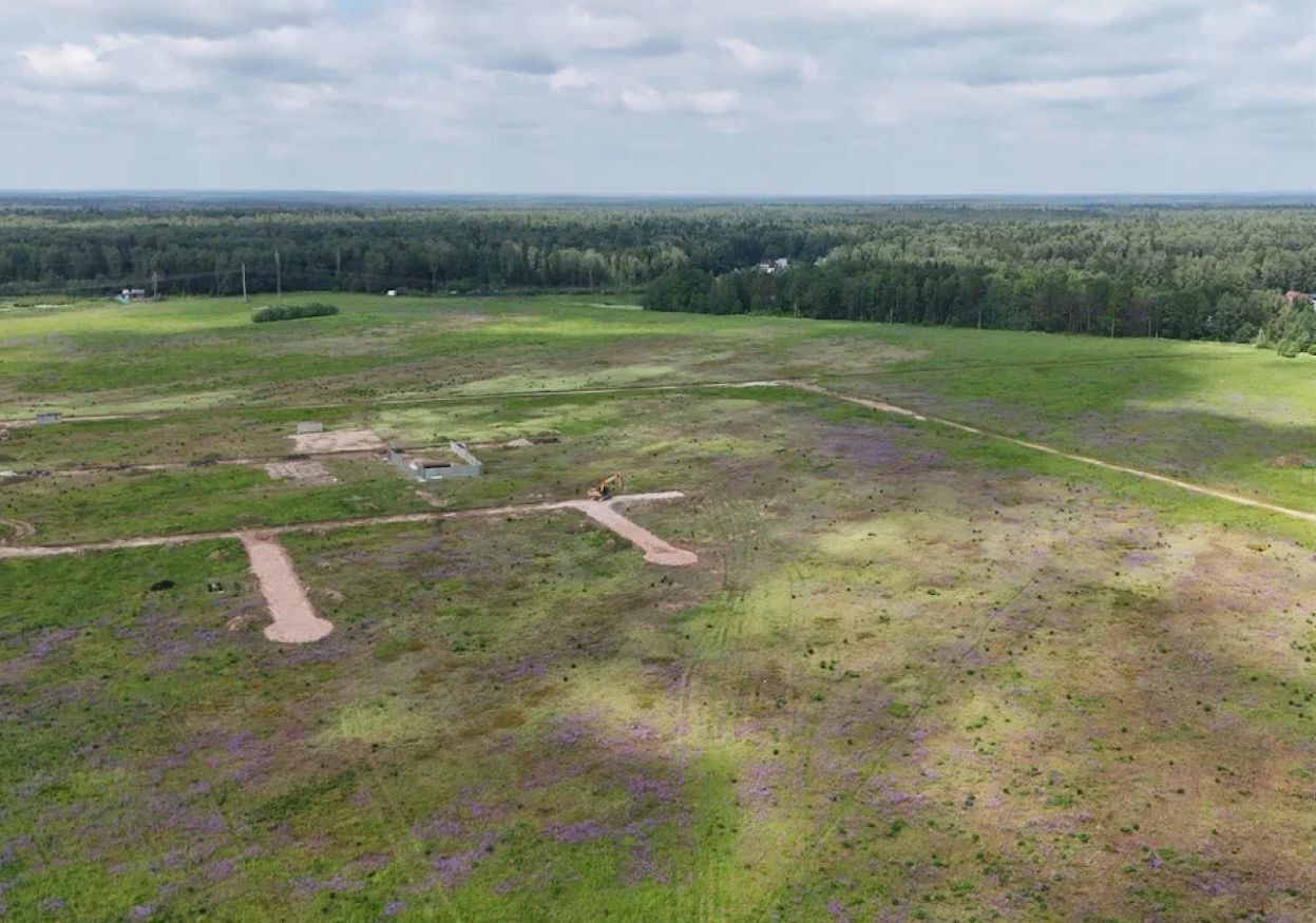 земля городской округ Щёлково мкр Медвежье озеро 9752 км, Черничная ул, Красноармейск, Ярославское шоссе фото 6