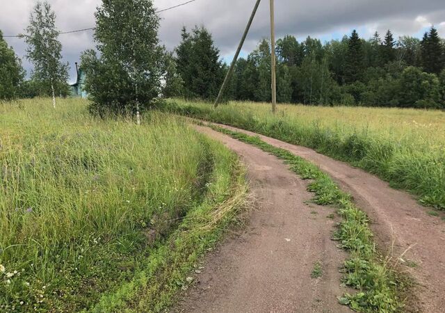 Трасса Скандинавия, 9832 км, Селезнёвское сельское поселение, садоводческое некоммерческое товарищество Солнечное фото