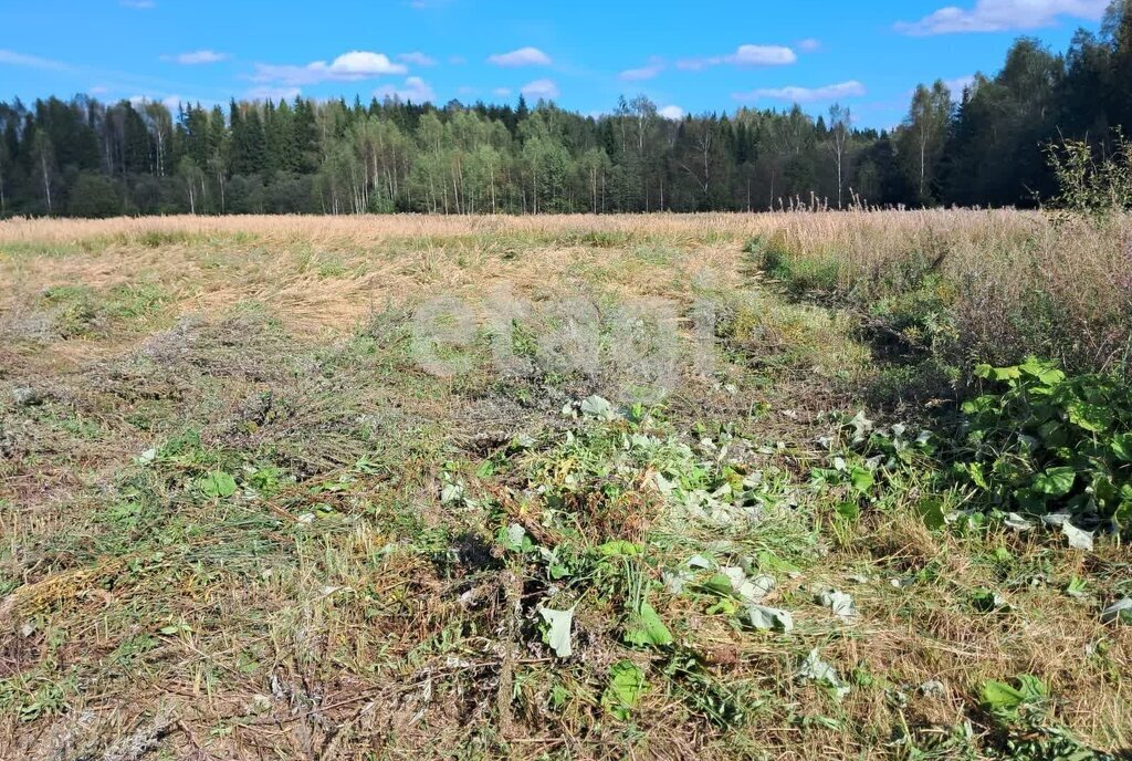 земля р-н Костромской д Сенцово Кузьмищенское сельское поселение фото 1