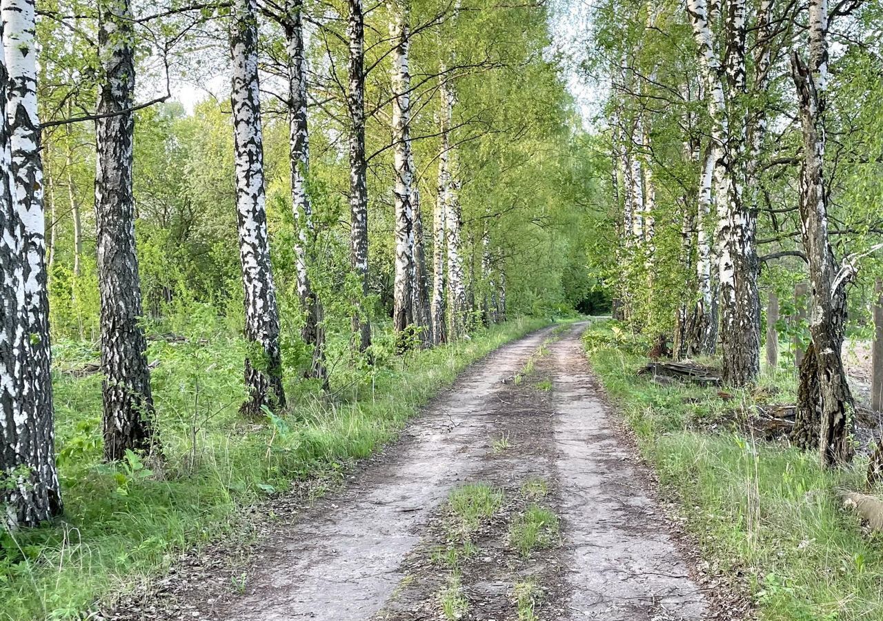 земля направление Павелецкое (юго-восток) ш Новокаширское 9758 км, территория КП Данилово Парк, Домодедово фото 1