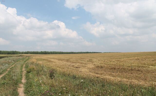 земля с Анатыш Рыбная Слобода, Анатышское сельское поселение фото