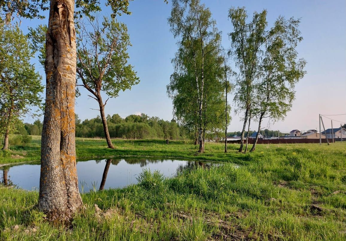 земля городской округ Шаховская д Кобылино тер Новорижская Деревенька-3 фото 2