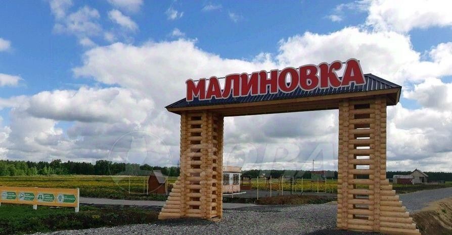 земля р-н Тюменский д Малиновка ул Брусничная фото 2