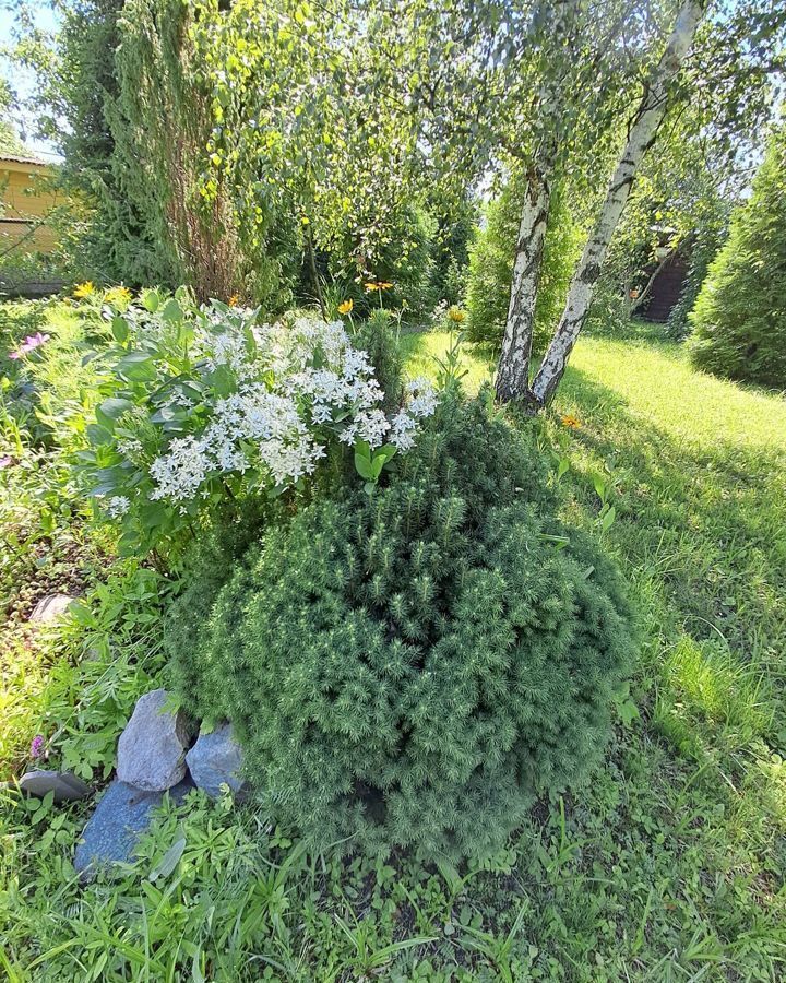 дом городской округ Клин д Колосово снт Динамо 69 км, Клин, Рогачёвское шоссе фото 21