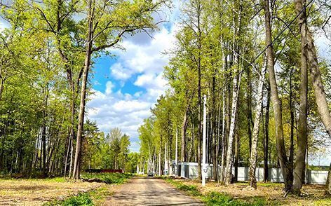 направление Павелецкое (юго-восток) ш Новокаширское 9758 км, территория КП Данилово Парк, Домодедово фото