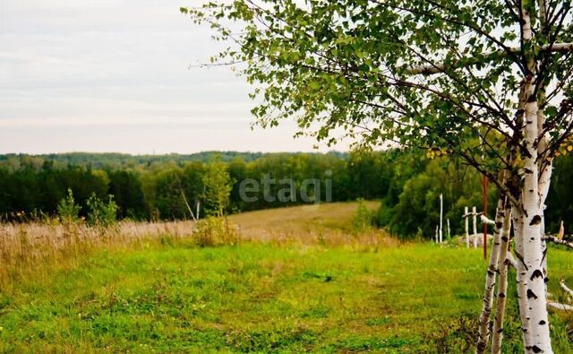 Станционный сельсовет, Новосибирск фото