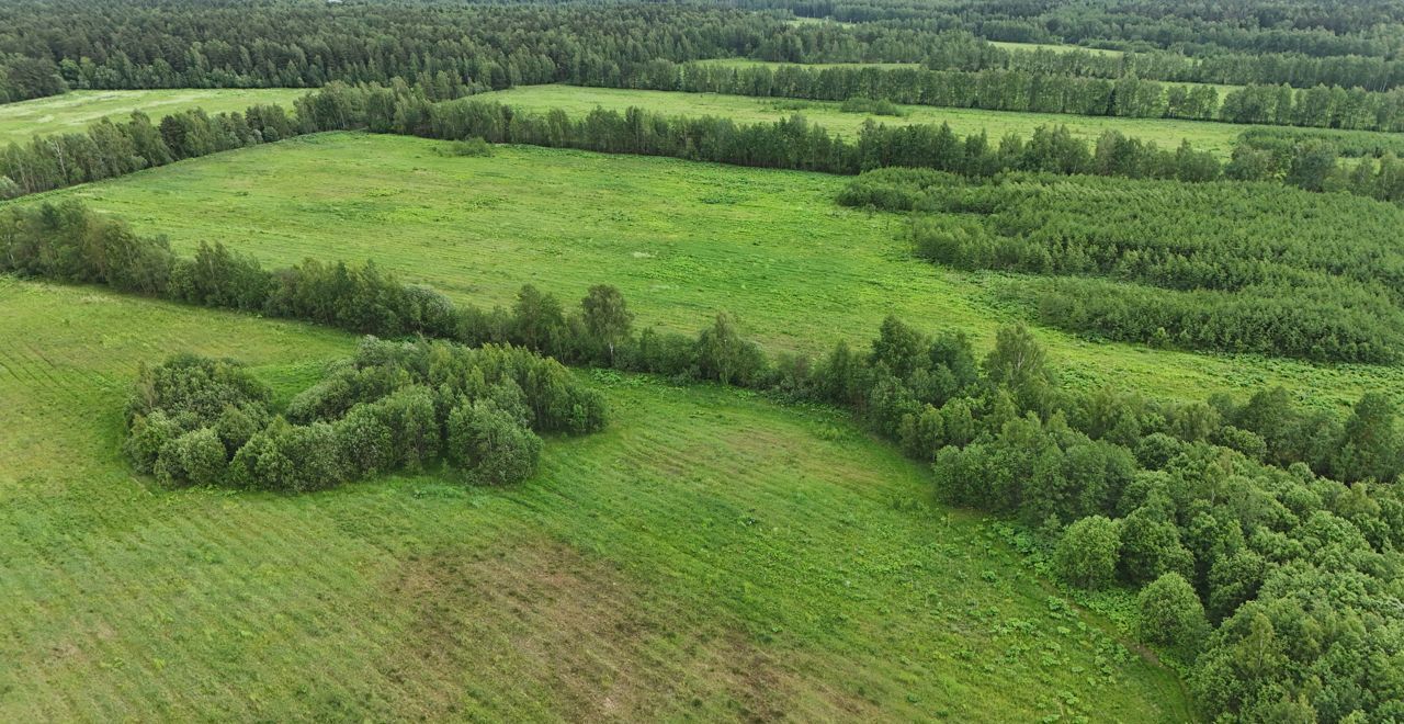 земля городской округ Дмитровский д Степаново 9763 км, Электросталь, Носовихинское шоссе фото 30